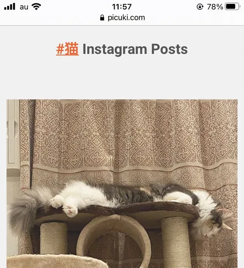 ハッシュタグ検索から写真を見る|Picuki(ピクキ)の使い方!インスタにログインなしでストーリーも見れます