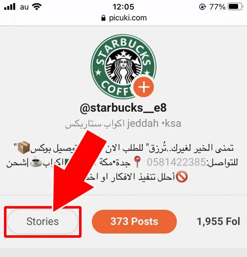 ログインなしでストーリーも見れる|Picuki(ピクキ)の使い方!インスタにログインなしでストーリーも見れます