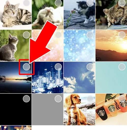 写真や動画を送る|インスタのDM(ダイレクトメッセージ)とは?送り方や取り消しなど使い方と便利機能まとめ