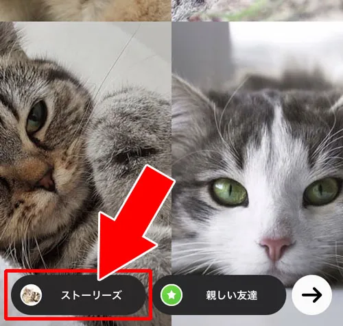 レイアウト機能で整列した複数写真を投稿する|インスタストーリーで写真2枚以上載せる方法!複数画像をオシャレにするコツも解説