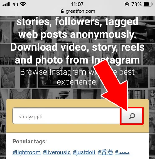 投稿を見る|Greatfonの使い方!インスタストーリーを見てもバレる心配ありません