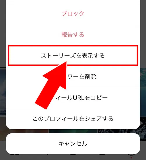 プロフィールからストーリー非表示を解除する|インスタストーリーの非表示方法と解除方法!解除後はハイライトも見れます