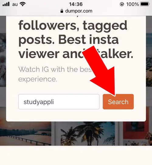 アカウントを検索する|DUMPORの使い方!インスタストーリーを見ると足跡でバレるのか解説します