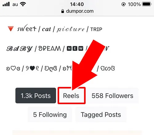 写真や動画を見る|DUMPORの使い方!インスタストーリーを見ると足跡でバレるのか解説します