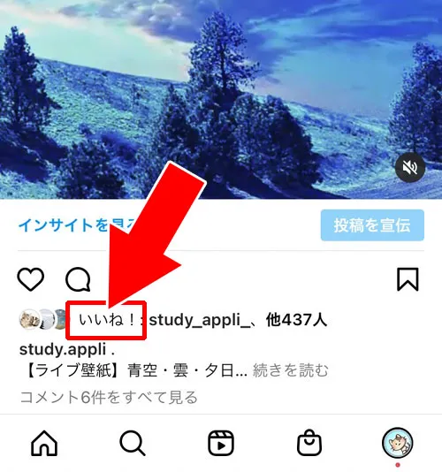 投稿ごとにいいねした人の一覧が見れるいいね欄|インスタでいいね欄の見方!フィルターで非表示や特定相手だけ見る方法もあります