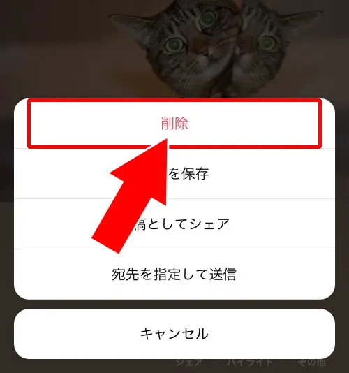 アーカイブからストーリーを削除する方法|インスタストーリーをアーカイブへ保存・閲覧・削除方法まとめ