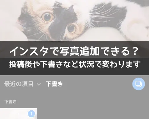 インスタで投稿後に写真追加できる?後から追加編集できる項目を解説