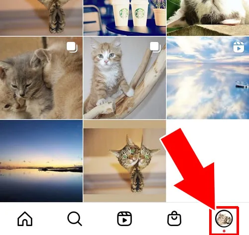 インスタでお知らせ通知が消えない時の対処方法!赤い丸が消えない時は再ログインを試そう