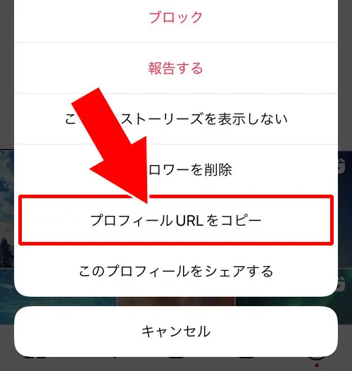 他人のプロフィールURLをコピーする|インスタでURLリンクのコピー方法!リンクコピーできない原因も解説します