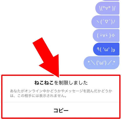 相手をアカウント制限している|インスタのDMで送信取り消しできない原因と対処方法