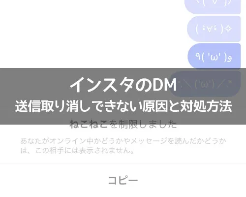 インスタのDMで送信取り消しできない原因と対処方法