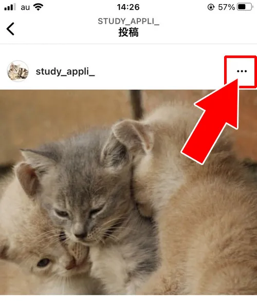 複数枚投稿の写真から特定の写真だけ削除する|インスタで投稿写真の削除方法!一括削除や複数枚投稿から一枚だけ削除もできます