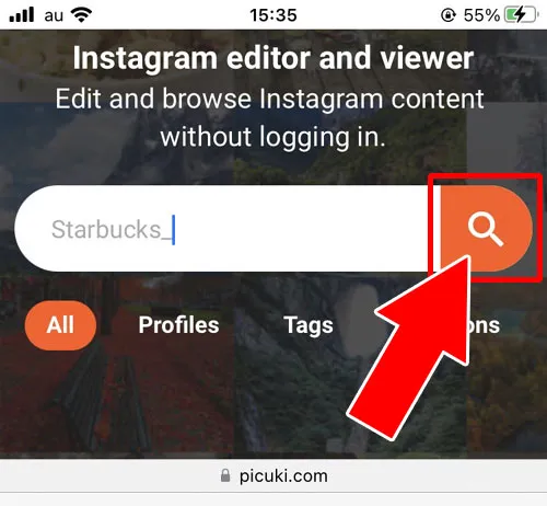 『Picuki』からストーリーを見る|インスタストーリーに足跡つけないで見る方法!サイトや機内モードがおすすめです