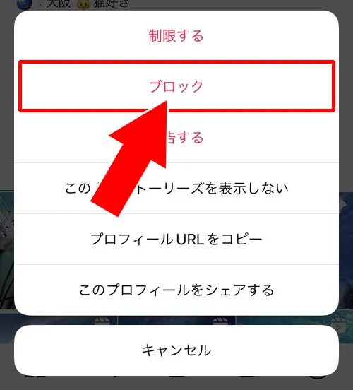 相手をブロックして足跡を消す|インスタストーリーの足跡を消す方法!足跡削除の注意点も解説します