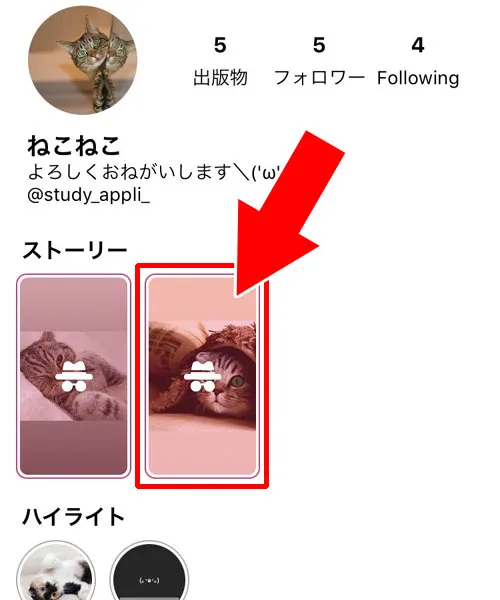 【iPhoneアプリ】SocialConnect|インスタストーリーで足跡つけないアプリ!無料で足跡つけずに閲覧できます