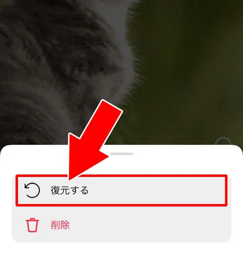 インスタのリールを削除後に復元させる方法