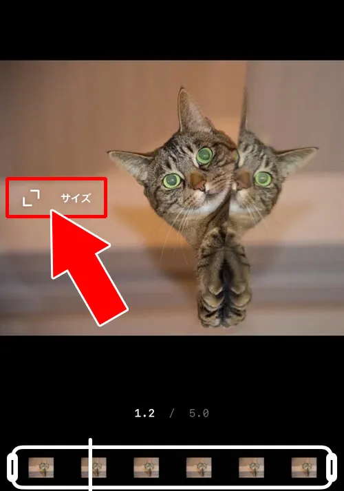 リールのサイズ変更|インスタグラムのリールとは?使い方や保存、音楽、アーカイブなどリール機能をまとめて解説