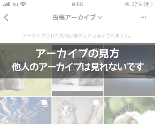 インスタでアーカイブの見方!他人のアーカイブは見れないです