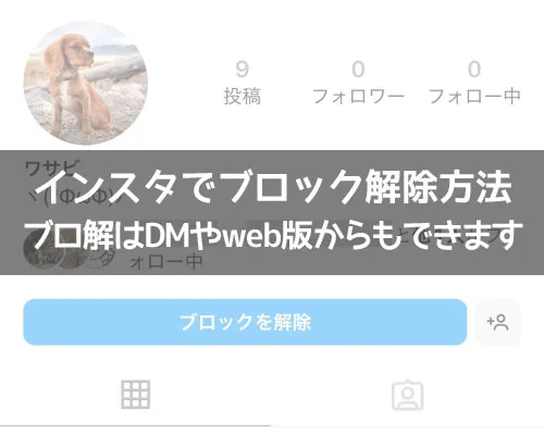 インスタでブロック解除方法(ブロ解のやり方)|インスタでブロック解除方法!ブロ解はDMやweb版からもできます