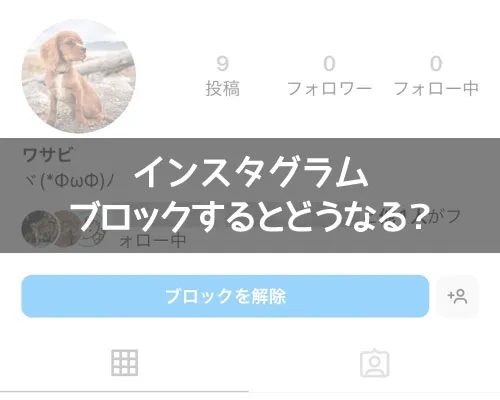 インスタでブロックするとどうなる?|インスタでブロックするとどうなる?DMや検索でバレるのか解説します