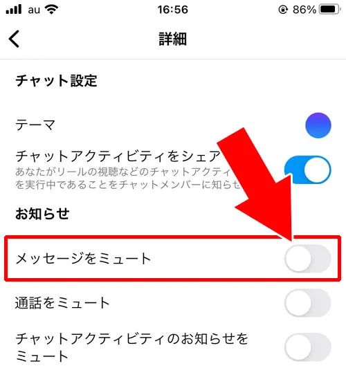 チャットごとにプッシュ通知の設定ができる｜インスタのDM（ダイレクトメッセージ）とは？送り方や取り消しなど使い方と便利機能まとめ