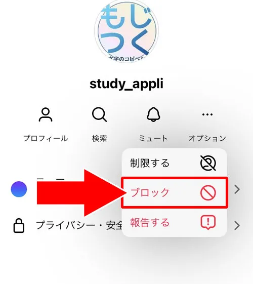 インスタでブロック返しする方法|インスタでブロック返し方法!ブロック返しできない原因も解説