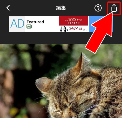 写真を15秒以上の動画に加工する|インスタストーリーで音楽を15秒以上する方法!写真を動画にして対応しよう