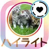 インスタストーリーのハイライトとは?追加や編集方法など使い方まとめ