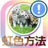 インスタのストーリーアイコンを虹色にする方法